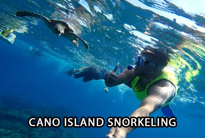 Caño Island Snorkeling