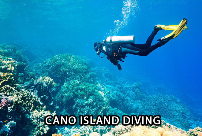 Caño Island Diving