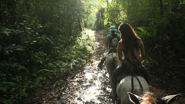 Horseback Riding